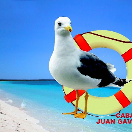 Cabanas Juan Gaviota Punta de Choros Exteriör bild