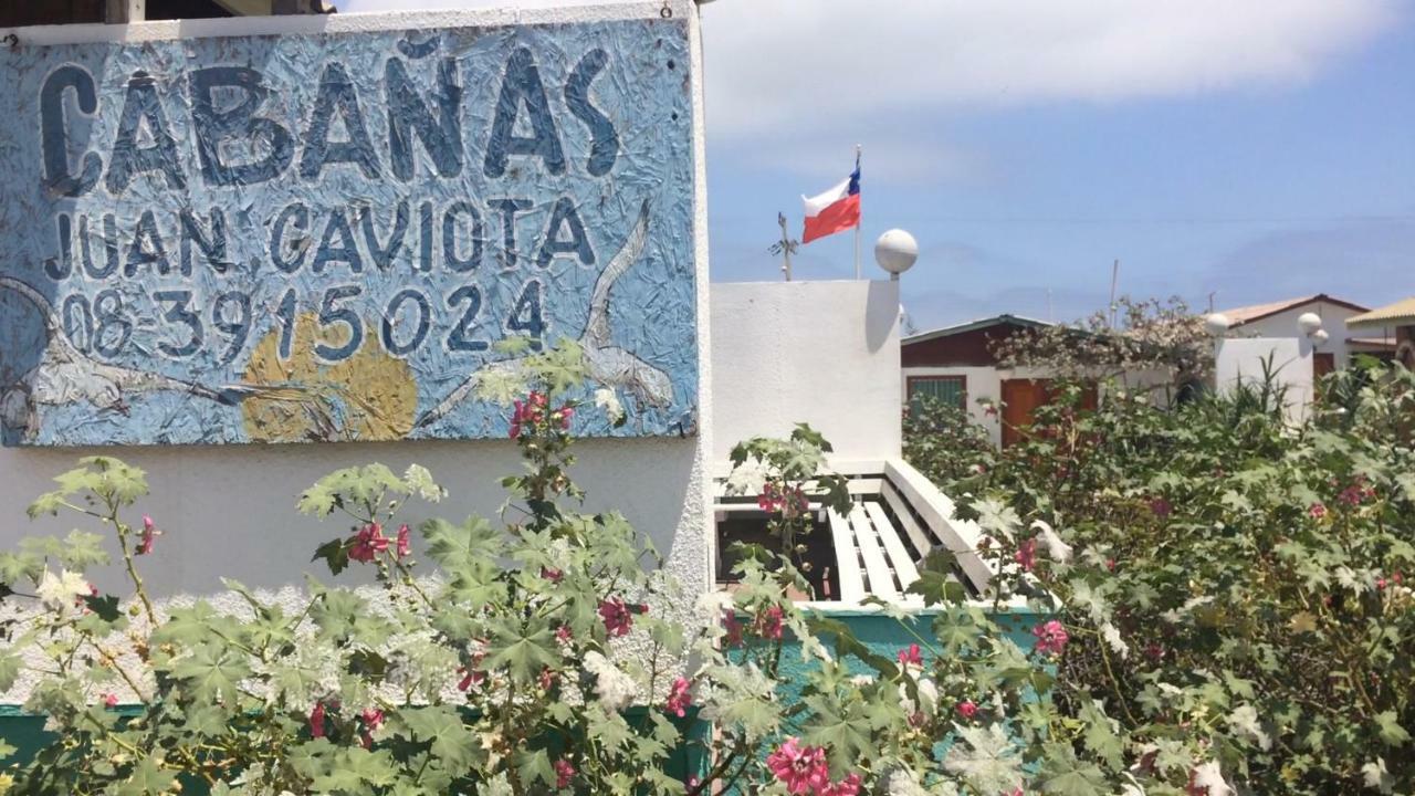 Cabanas Juan Gaviota Punta de Choros Exteriör bild