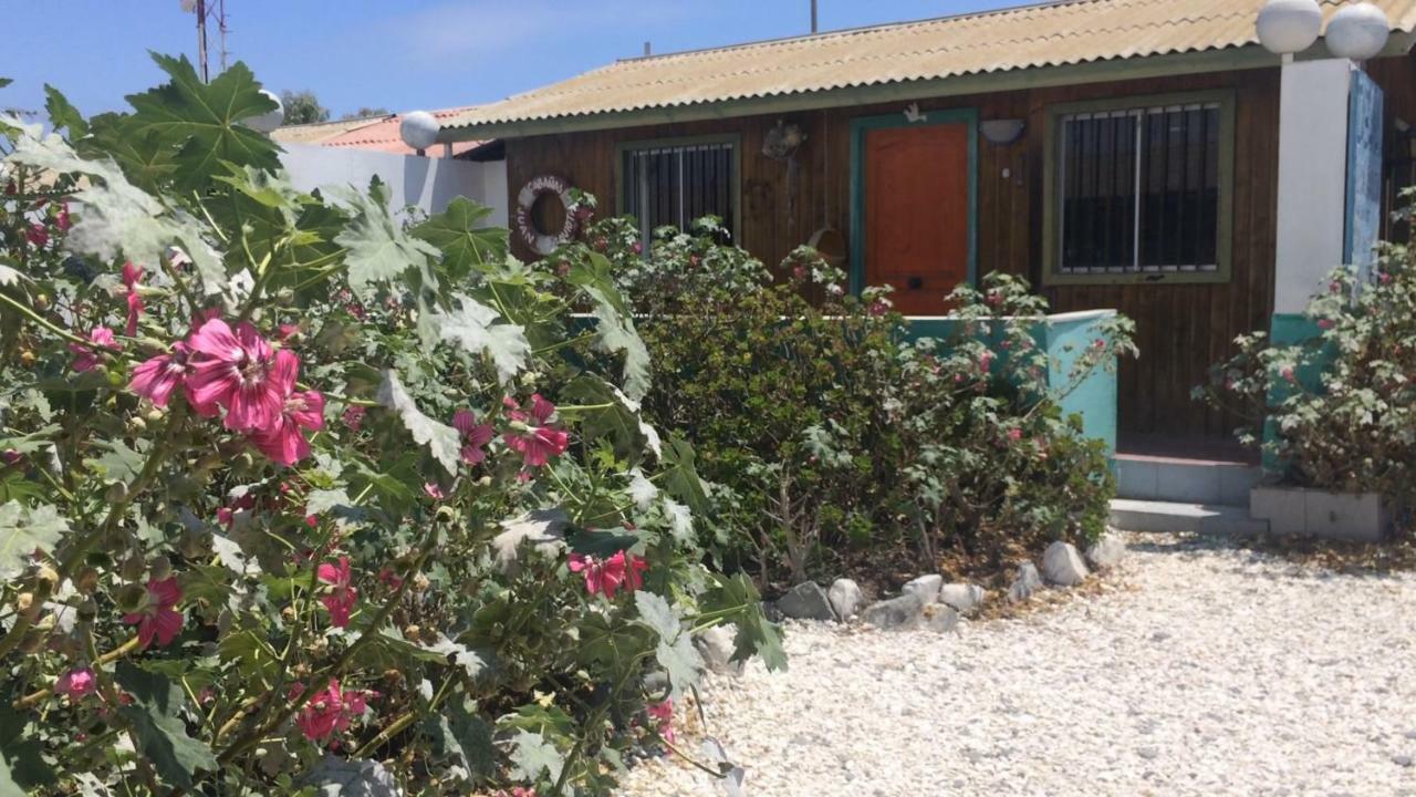 Cabanas Juan Gaviota Punta de Choros Exteriör bild