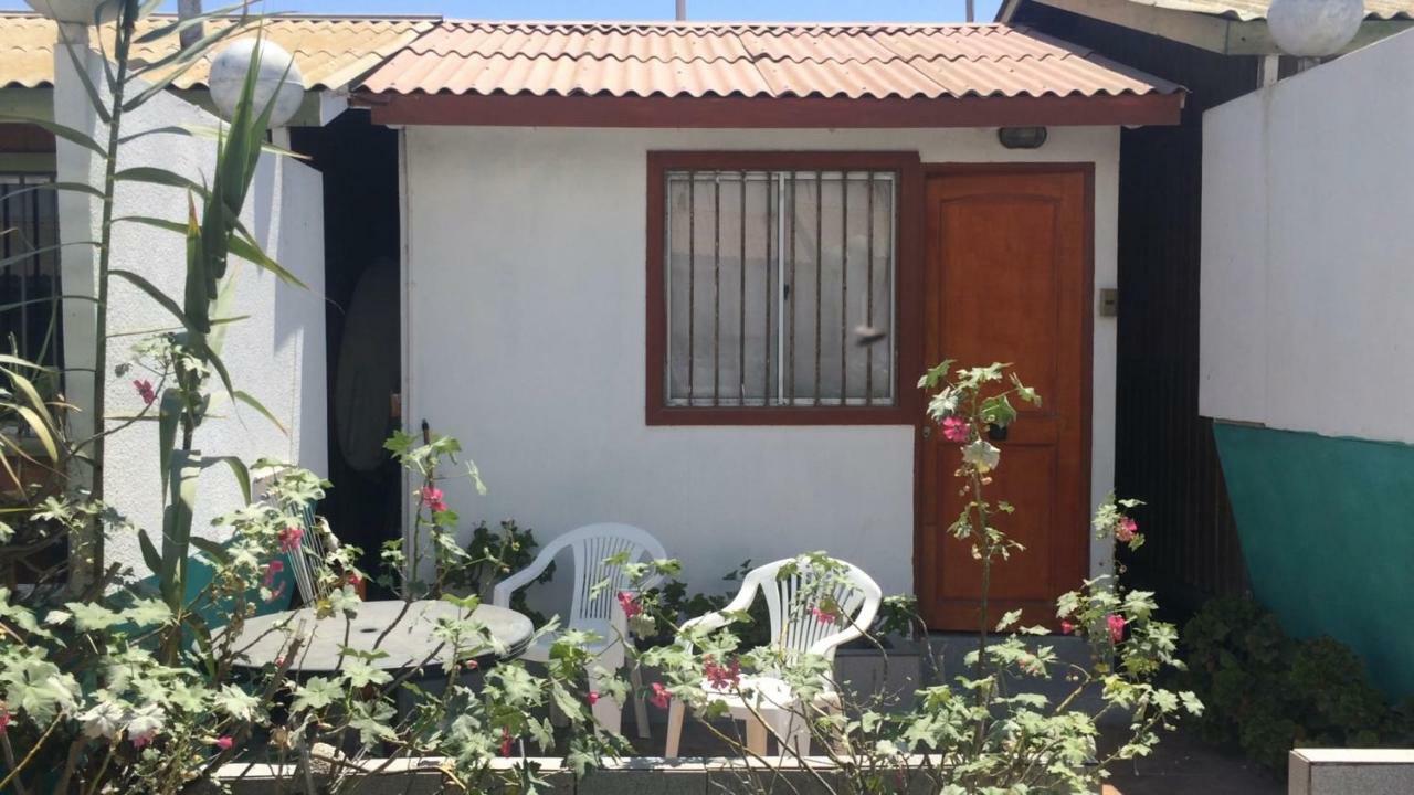 Cabanas Juan Gaviota Punta de Choros Exteriör bild