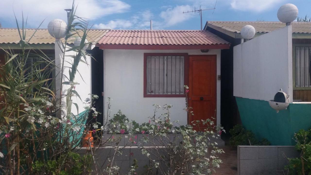 Cabanas Juan Gaviota Punta de Choros Exteriör bild