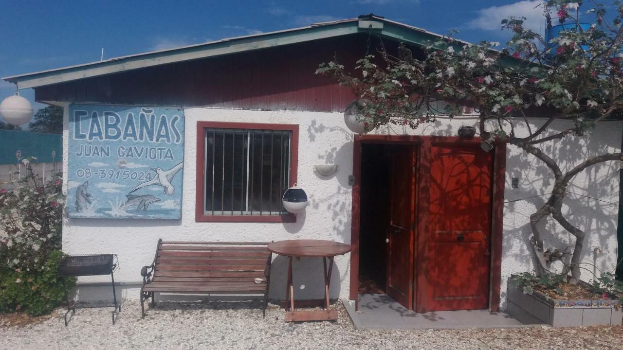 Cabanas Juan Gaviota Punta de Choros Exteriör bild