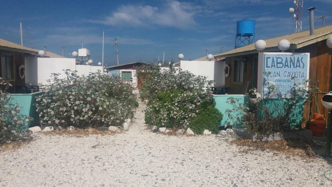 Cabanas Juan Gaviota Punta de Choros Exteriör bild