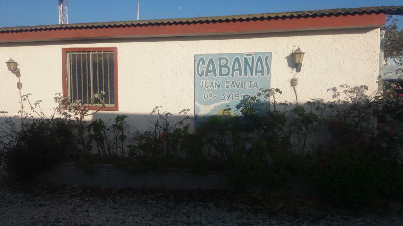 Cabanas Juan Gaviota Punta de Choros Exteriör bild